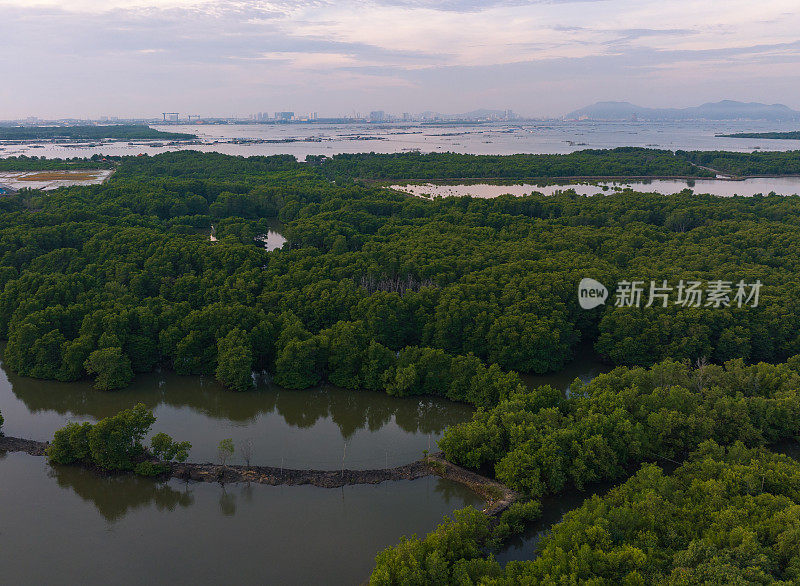 航拍的红树林，Cha Va桥，龙子漂流村，巴里翁头省